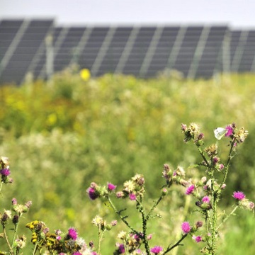 solar akan berkuasa untuk menawarkan 20% lebih banyak output untuk kos modul 25% lebih rendah dalam masa 15 bulan