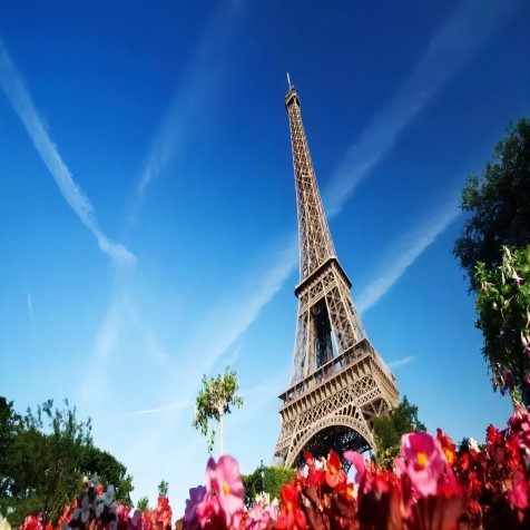 2.3GW! Perancis merancang untuk memulakan bidaan untuk projek fotovoltaik pada bulan Jun